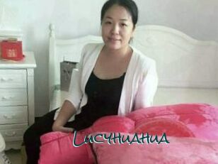 Lucyhuahua