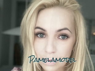 Pamelamodel